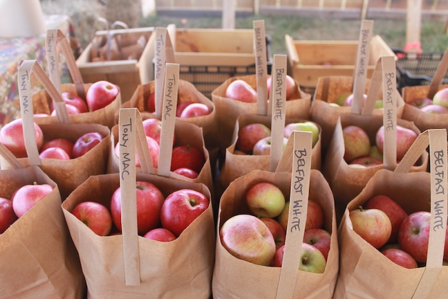 Apple sale Common Ground