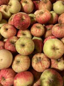 Hayford Sweet apples