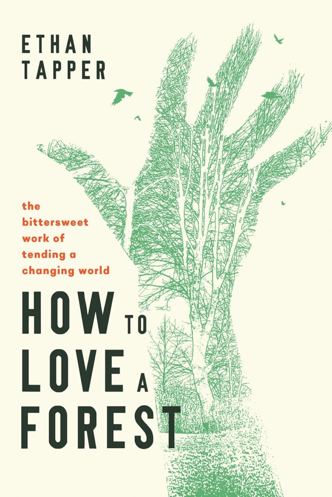 how to love a forest
