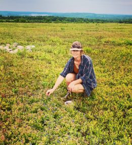 Laura Flannery Laura Flannery, Blue Ox Blueberries