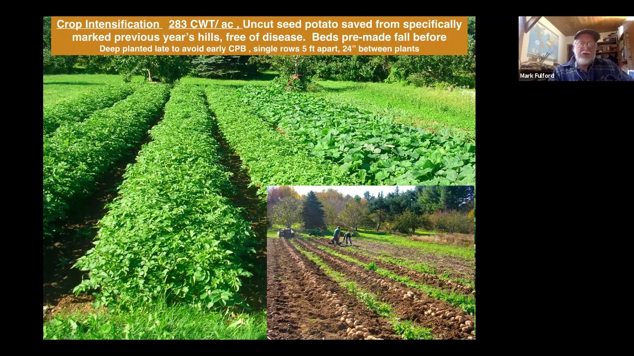 Crop Intensification and Mulch-In-Place with Mark Fulford