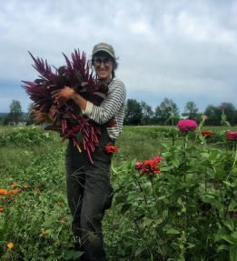 Rachel-Chapman_Seven_Moon_Farm.jpg Rachel Chapman Seven Moon Farm
